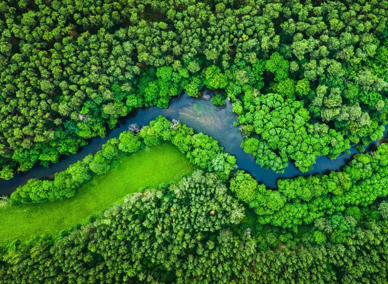 Environnement adobestock_291096115